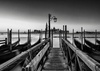 Galería de Fotografía de Bruno Girão - Brasil