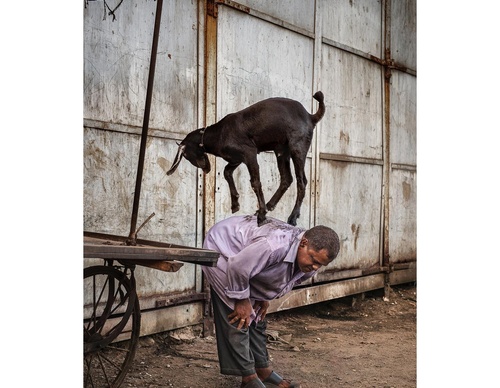 Galeria de fotografias de Steve McCurry - EUA