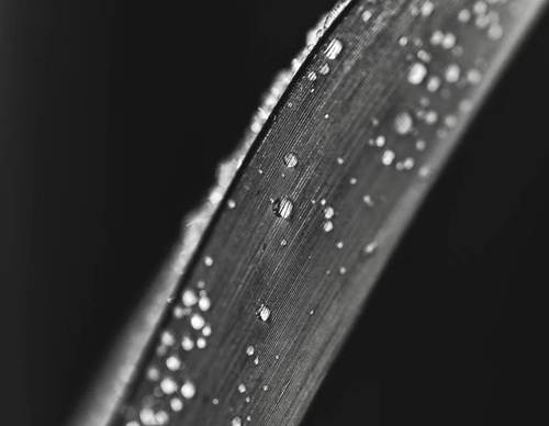 Galería de fotografía de Patricio Rodríguez - Argentina