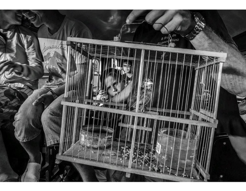 Gallery Of Photography By Arien Chang Castan-Cuba