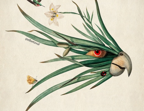 Gallery Of Illustration By Beto Val - Ecuador