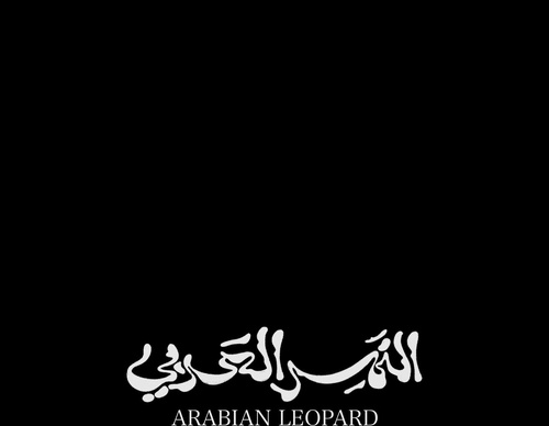 Gallery Of Graphic Design By Saad Al Thoraya - Saudi Arabia