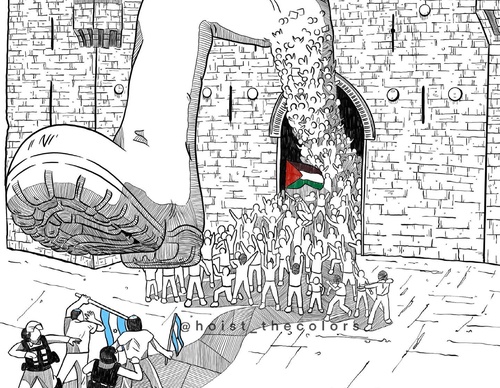 Galería de ilustraciones de Hadil Alsafadi - Palestina