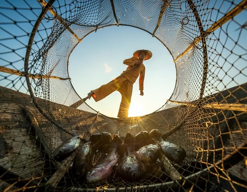 Gallery Of Photography By Zay Yar Lin - Myanmar