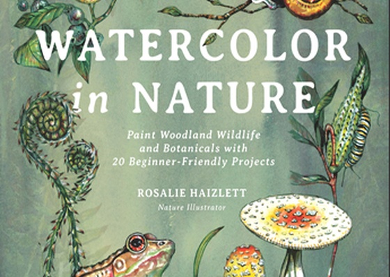 Aquarela na Natureza: Pinte a Vida Selvagem e as Plantas da Floresta com 20 Projetos para Iniciantes, de Rosalie Haizlett.