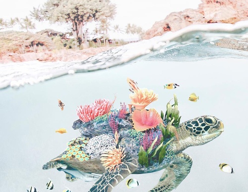 Galería De Ilustración De Luisa Azevedo - Portugal