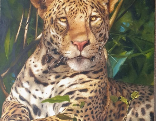 Gallery Of Painting By André Maurício - Brazil