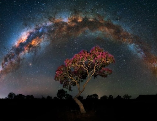 Galería de fotografía de Marcio Cabral - Brasil