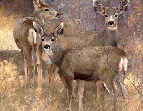Gallery Of Oil Painting By Jay Moore - USA