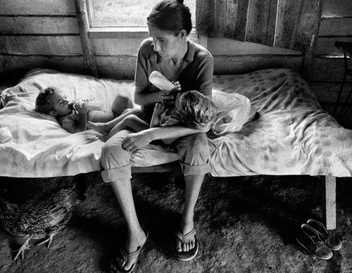raul canibano
