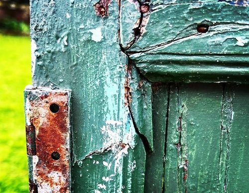Galería de fotografías de Debbie Tucker - Inglaterra