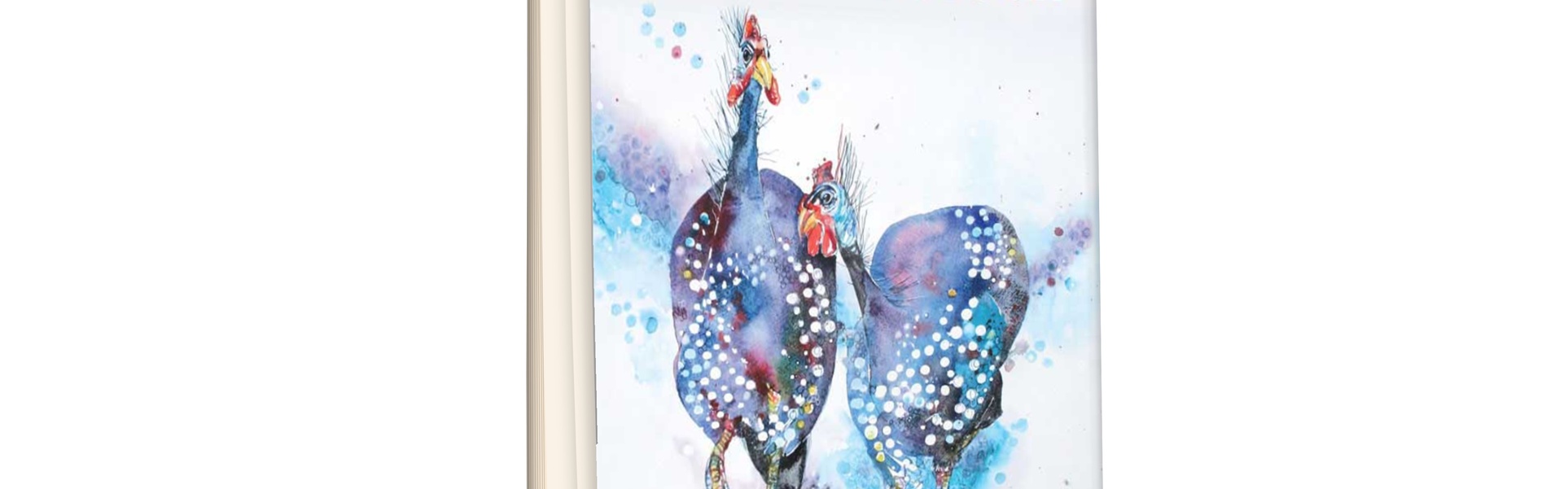 Painting Birds in Watercolour by Liz Chaderton