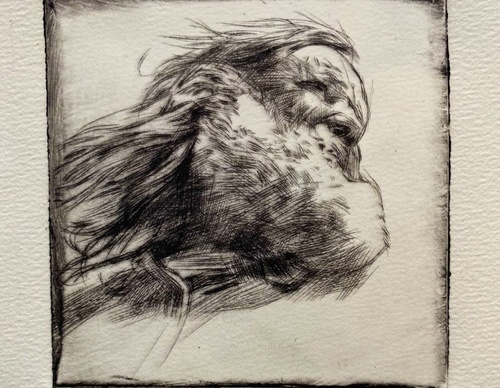 Galeria de Desenho de Andreas Vanpoucke-Bélgica