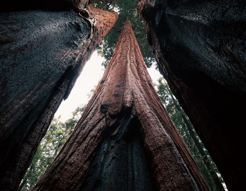 Gallery Of Photography By Keith Ladzinski - Brazil