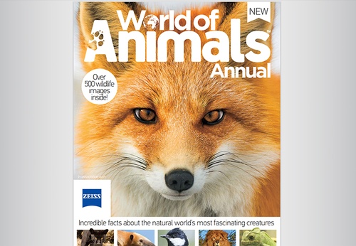 El mundo de los animales