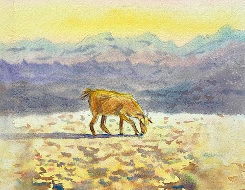 Galería de ilustraciones de Amjed Alsiyabi - Omán