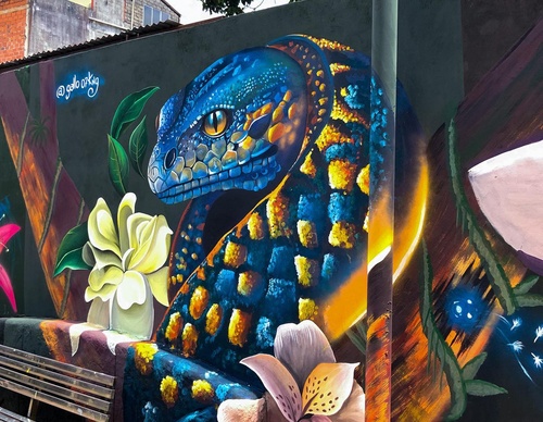 Gallery Of Street Art By Javier Rodriguez - Ecuador