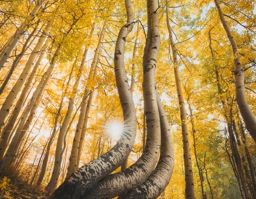 Gallery Of Photography By Paige Tingey - Peru