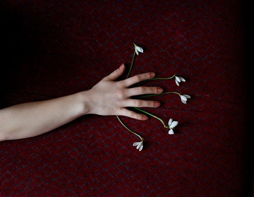 carolyn drake