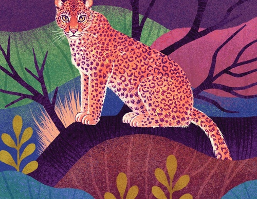 rohan dahotre