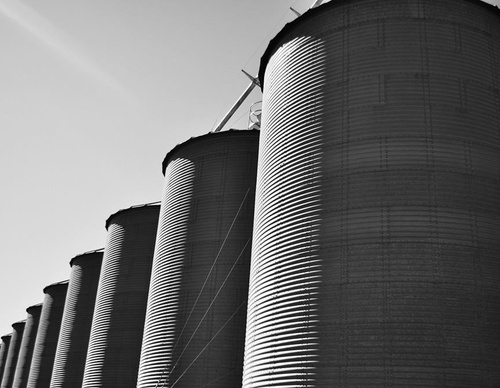 Gallery Of Photography By Luis Médici - Argentina