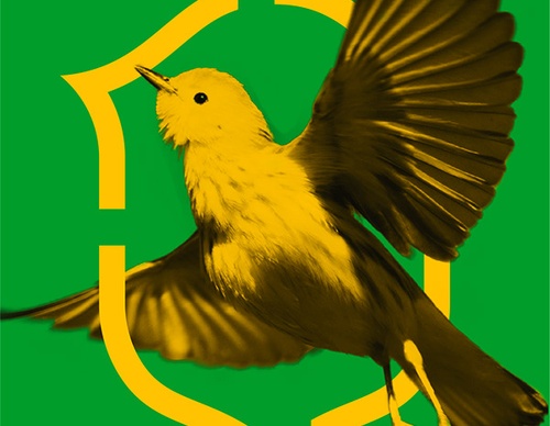 Gallery Of Poster Design By Gabriel M. Ramos - Brazil