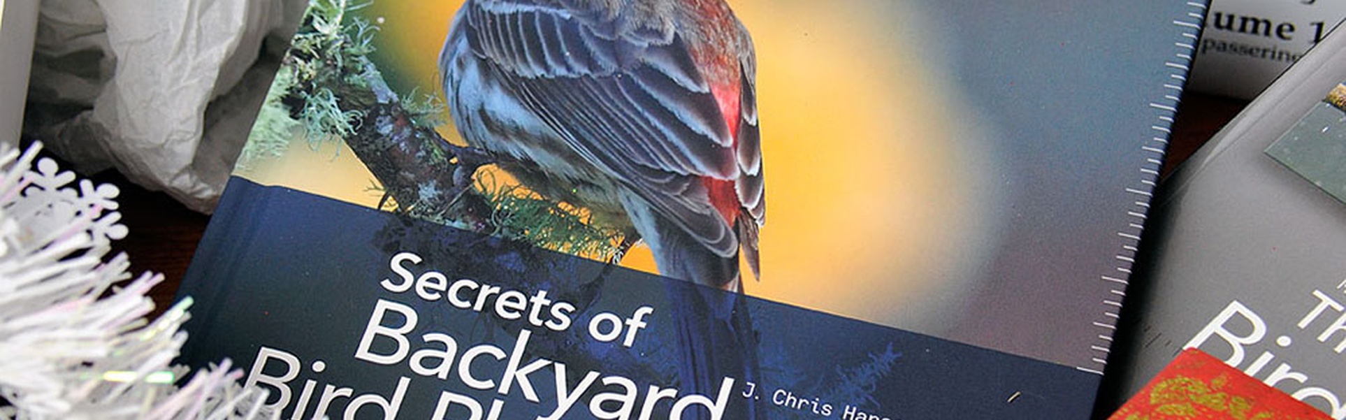 Secrets of Backyard Bird Photography