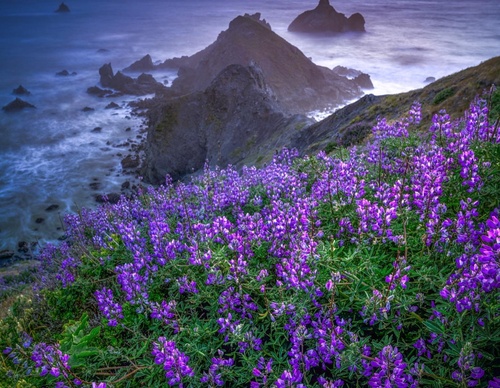 Gallery Of Photography By Zack Stanton - Canada