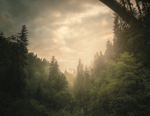 Galería de fotografías de Pujan Shadlau - Austria