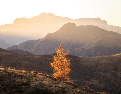 Galería de Fotografía de Thomas Vielgut - Austria