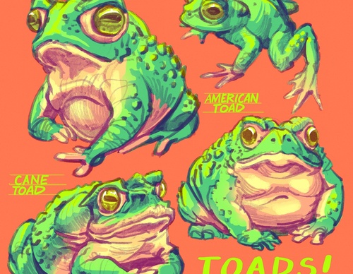 Galería de ilustraciones de Muhammad Firdaus - Singapur