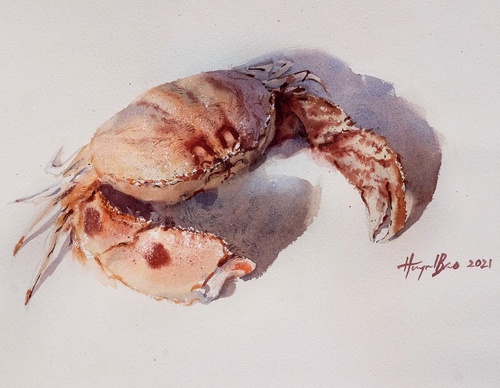 Gallery WaterColor Painting By Bảo Huỳnh - Vietnam