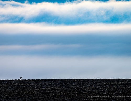 Gallery Of Photography By Gerhard Hüdepohl - Chile