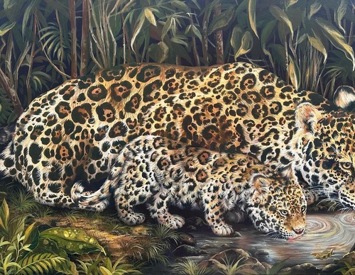 Gallery Of Street Art By Andy J. Céspedes Fernández - Peru