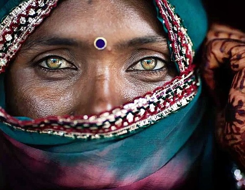 Galería de fotografía de Alessandro Bergamini - Italia