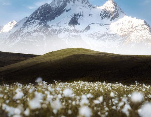 Gallery Of Photography By Khumais Idrees - Pakistan