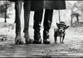 Capturing Life’s Wit: Gallery of Elliott Erwitt, American Photographer