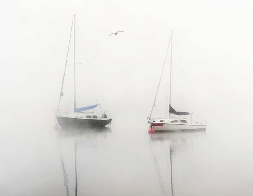 Galería de Fotografía de Luis Salazar-Espania