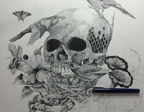 Galería De Ilustración De David Piñón - México