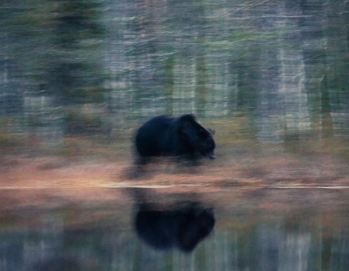 Gallery Of Photography By Elias Kalliola - USA