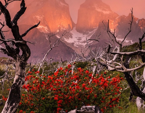 Gallery Of Photography By Timothy Dhalleine - Chile