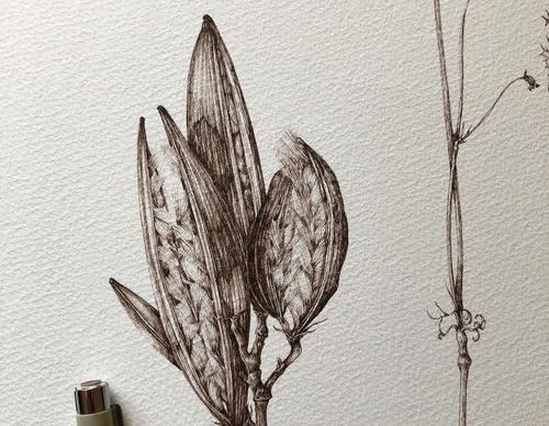 Gallery of Drawing by GiacoMina Ferrillo-Italy