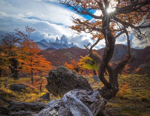 Galería de fotografía de Greg Boratyn - Argentina