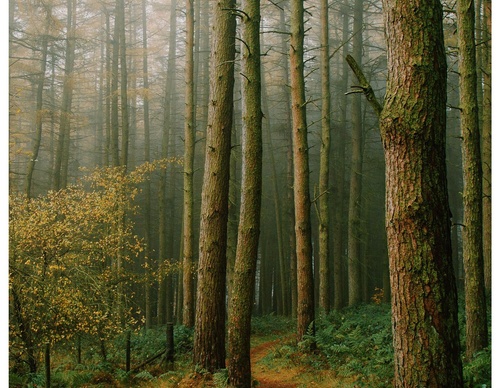 Gallery Of Photography By Daniel Casson - United Kingdom