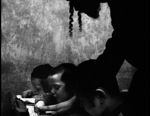 cornell capa