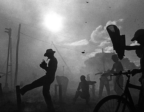 raul canibano