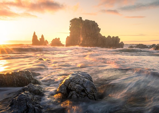 Gallery Of Photography By William Patino - New Zealand