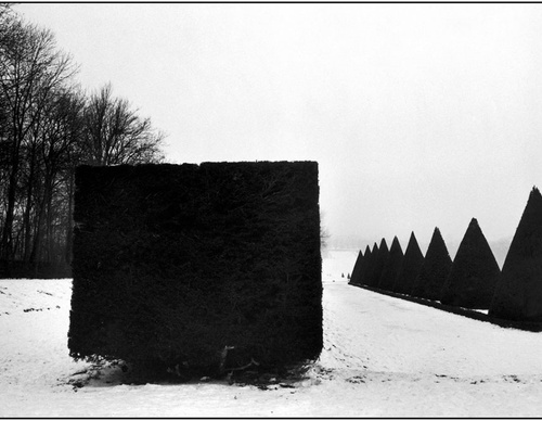 martine franck