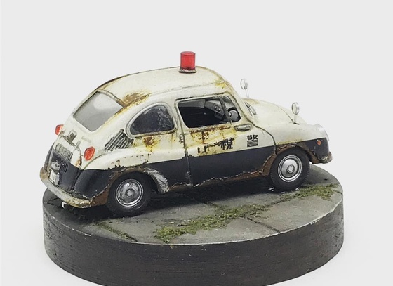 raphael truffi bortholuzzi brazil