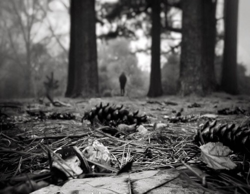 william smith